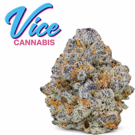 Blue Cookies cannabis strain at Vice Cannabis Portland Maine