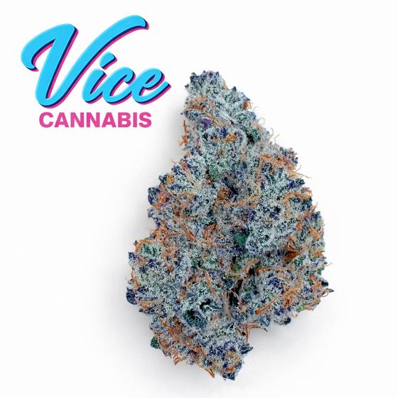 Straight to Hell cannabis strain at Vice Cannabis Portland Maine